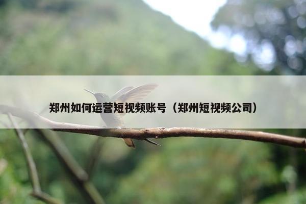 郑州如何运营短视频账号（郑州短视频公司）