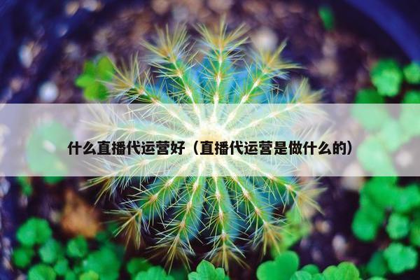 什么直播代运营好（直播代运营是做什么的）