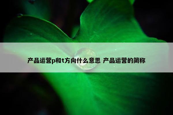 产品运营p和t方向什么意思 产品运营的简称