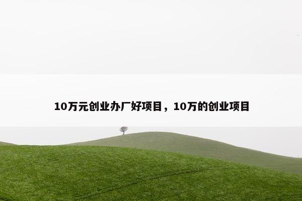 10万元创业办厂好项目，10万的创业项目