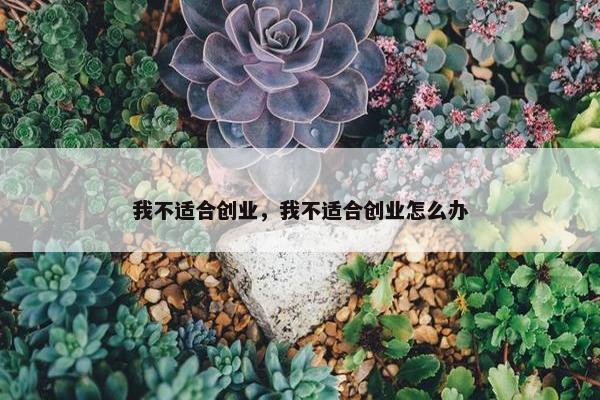 我不适合创业，我不适合创业怎么办