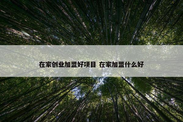 在家创业加盟好项目 在家加盟什么好