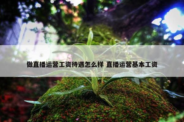 做直播运营工资待遇怎么样 直播运营基本工资