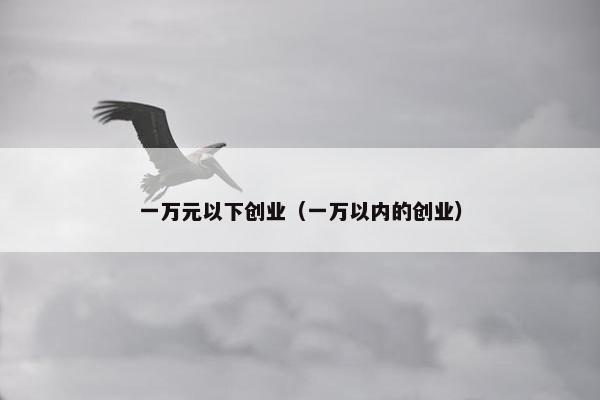 一万元以下创业（一万以内的创业）