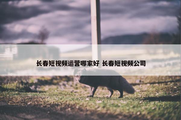 长春短视频运营哪家好 长春短视频公司