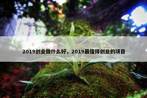 2019创业做什么好，2019最值得创业的项目