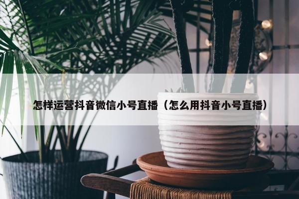 怎样运营抖音微信小号直播（怎么用抖音小号直播）