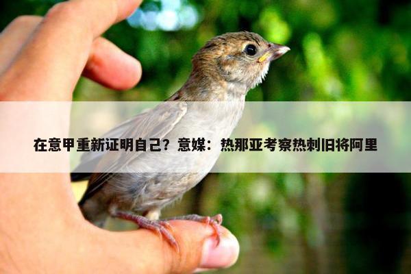 在意甲重新证明自己？意媒：热那亚考察热刺旧将阿里