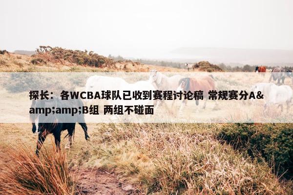 探长：各WCBA球队已收到赛程讨论稿 常规赛分A&amp;B组 两组不碰面