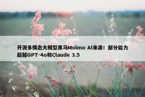 开源多模态大模型黑马Molmo Al来袭！部分能力超越GPT-4o和Claude 3.5