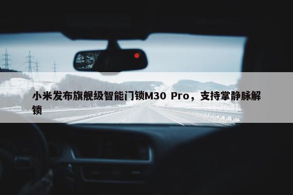 小米发布旗舰级智能门锁M30 Pro，支持掌静脉解锁