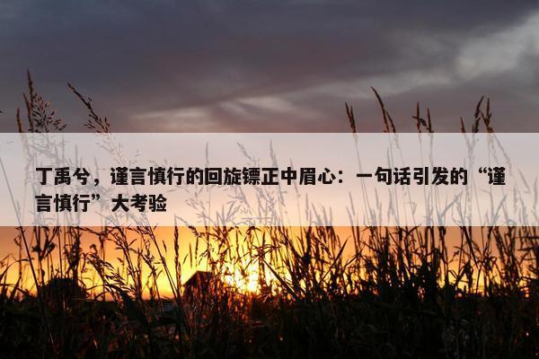 丁禹兮，谨言慎行的回旋镖正中眉心：一句话引发的“谨言慎行”大考验