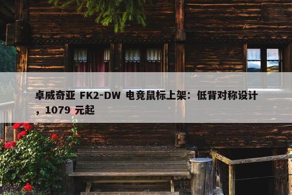 卓威奇亚 FK2-DW 电竞鼠标上架：低背对称设计，1079 元起