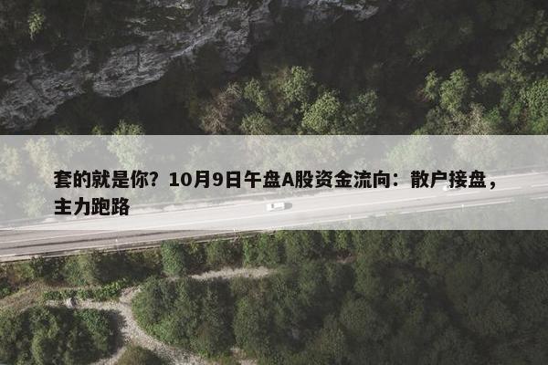 套的就是你？10月9日午盘A股资金流向：散户接盘，主力跑路