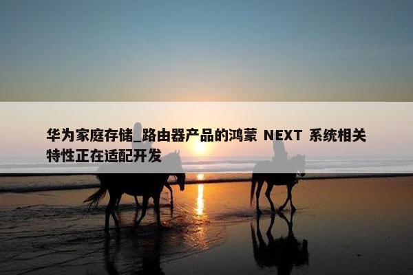 华为家庭存储_路由器产品的鸿蒙 NEXT 系统相关特性正在适配开发