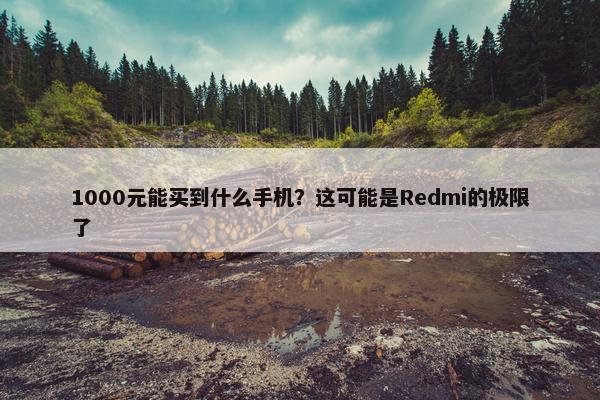 1000元能买到什么手机？这可能是Redmi的极限了