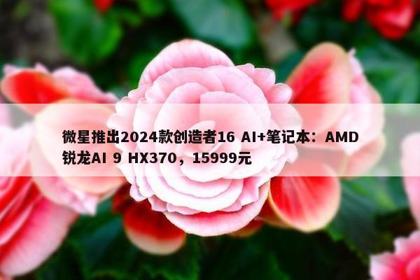 微星推出2024款创造者16 AI+笔记本：AMD锐龙AI 9 HX370，15999元