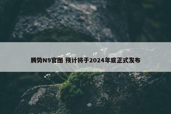 腾势N9官图 预计将于2024年底正式发布