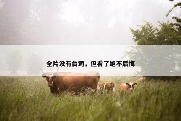 全片没有台词，但看了绝不后悔