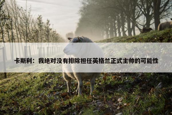 卡斯利：我绝对没有排除担任英格兰正式主帅的可能性