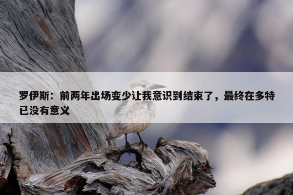 罗伊斯：前两年出场变少让我意识到结束了，最终在多特已没有意义