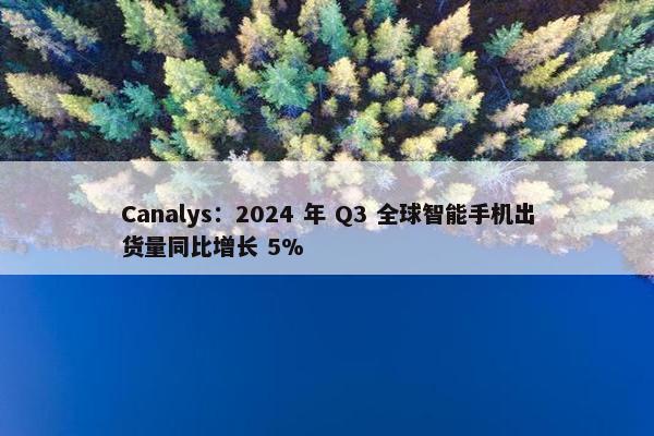 Canalys：2024 年 Q3 全球智能手机出货量同比增长 5%