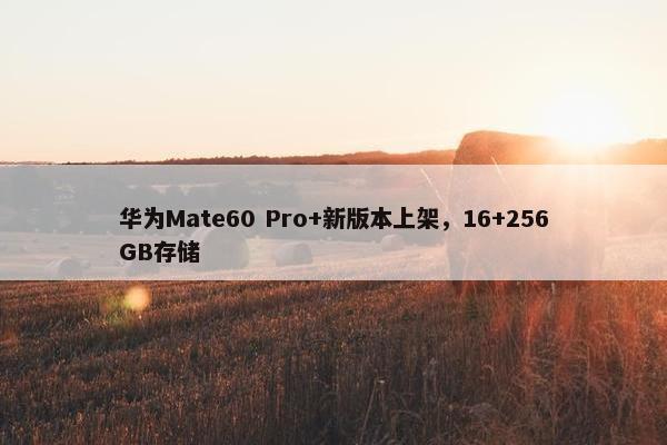 华为Mate60 Pro+新版本上架，16+256GB存储