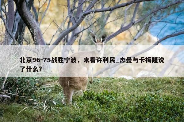 北京96-75战胜宁波，来看许利民_杰曼与卡梅隆说了什么？