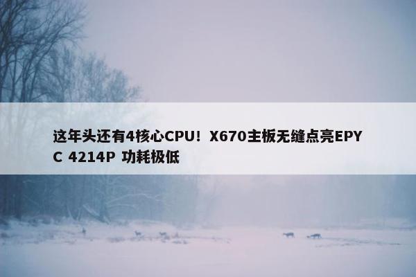 这年头还有4核心CPU！X670主板无缝点亮EPYC 4214P 功耗极低