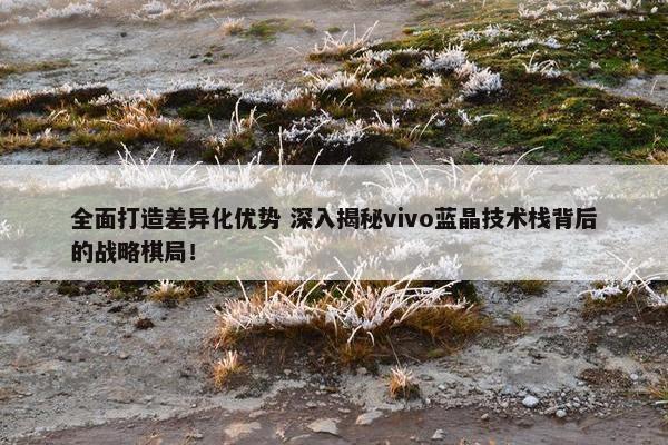 全面打造差异化优势 深入揭秘vivo蓝晶技术栈背后的战略棋局！