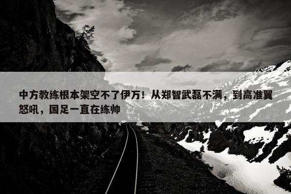 中方教练根本架空不了伊万！从郑智武磊不满，到高准翼怒吼，国足一直在练帅