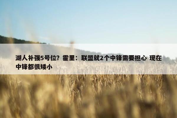 湖人补强5号位？霍里：联盟就2个中锋需要担心 现在中锋都很矮小