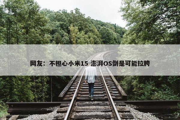 网友：不担心小米15 澎湃OS倒是可能拉胯