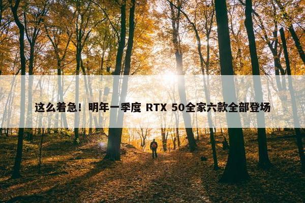 这么着急！明年一季度 RTX 50全家六款全部登场