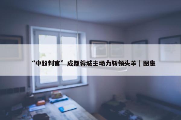 “中超判官”成都蓉城主场力斩领头羊｜图集