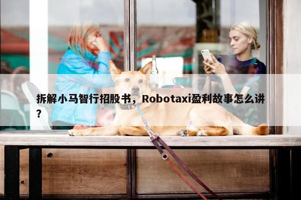 拆解小马智行招股书，Robotaxi盈利故事怎么讲？