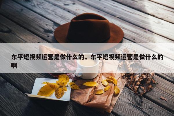 东平短视频运营是做什么的，东平短视频运营是做什么的啊