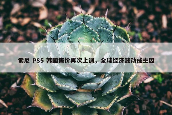 索尼 PS5 韩国售价再次上调，全球经济波动成主因