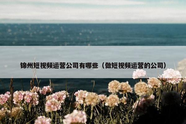 锦州短视频运营公司有哪些（做短视频运营的公司）