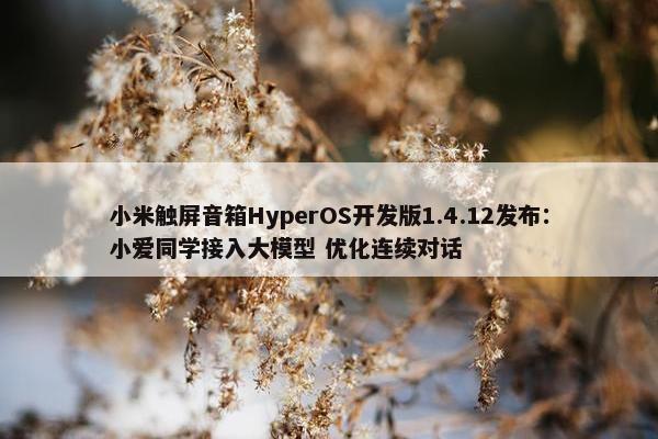 小米触屏音箱HyperOS开发版1.4.12发布：小爱同学接入大模型 优化连续对话