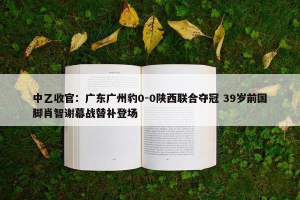 中乙收官：广东广州豹0-0陕西联合夺冠 39岁前国脚肖智谢幕战替补登场