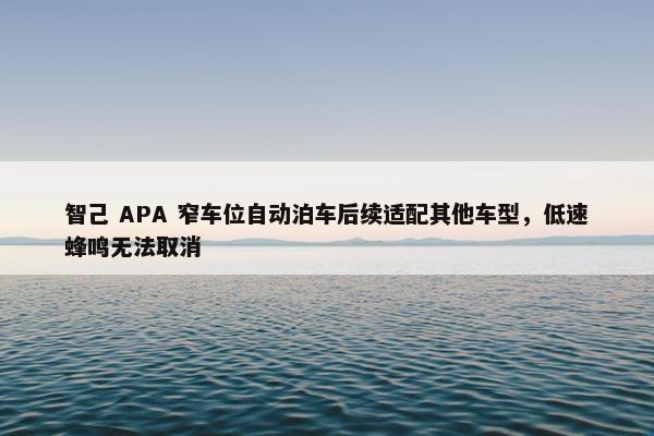 智己 APA 窄车位自动泊车后续适配其他车型，低速蜂鸣无法取消