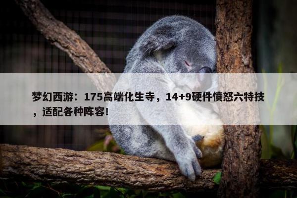 梦幻西游：175高端化生寺，14+9硬件愤怒六特技，适配各种阵容！