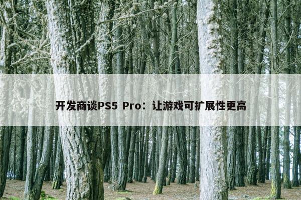 开发商谈PS5 Pro：让游戏可扩展性更高