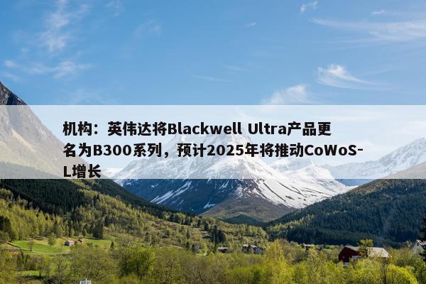 机构：英伟达将Blackwell Ultra产品更名为B300系列，预计2025年将推动CoWoS-L增长