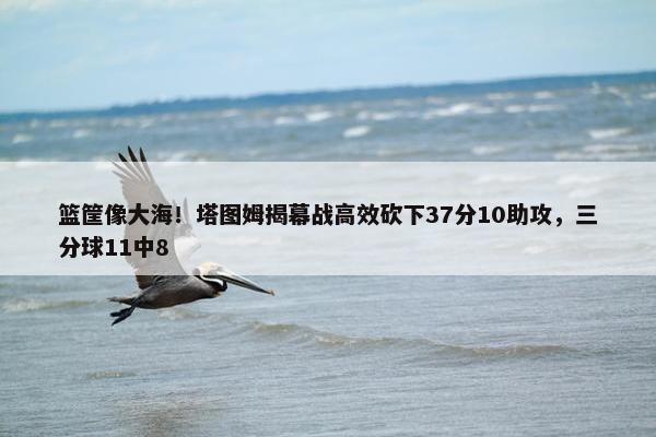 篮筐像大海！塔图姆揭幕战高效砍下37分10助攻，三分球11中8