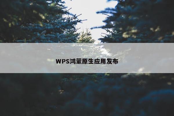 WPS鸿蒙原生应用发布