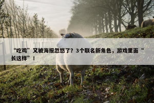 “吃鸡”又被海报忽悠了？3个联名新角色，游戏里面“长这样”！