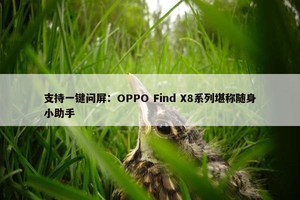 支持一键问屏：OPPO Find X8系列堪称随身小助手