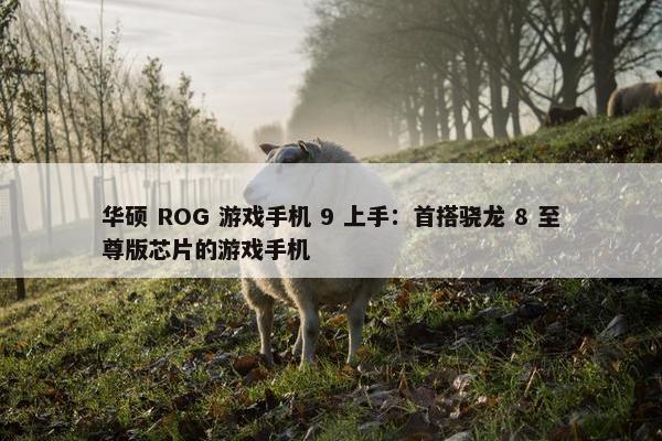 华硕 ROG 游戏手机 9 上手：首搭骁龙 8 至尊版芯片的游戏手机